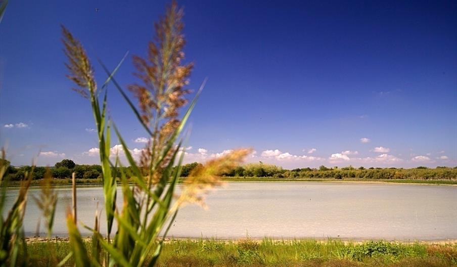 Laguna Grande