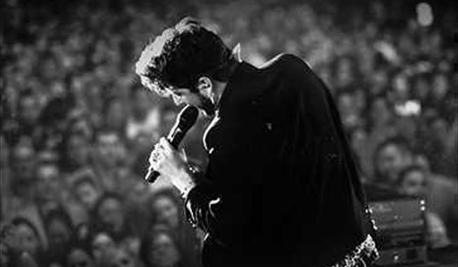 Manuel Carrasco en concierto