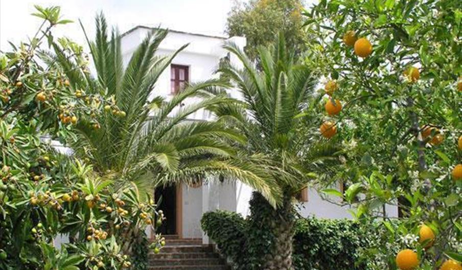 Hotel Taray Botánico