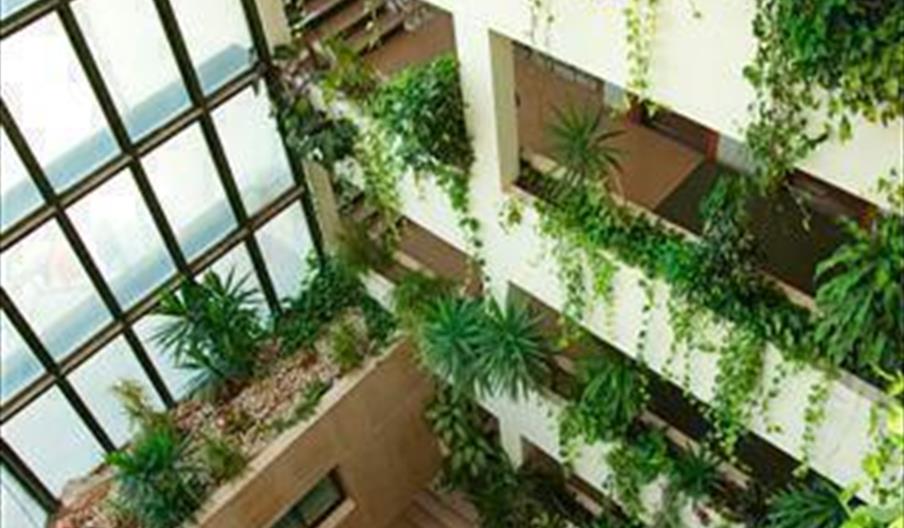 Hotel Ejidohotel
