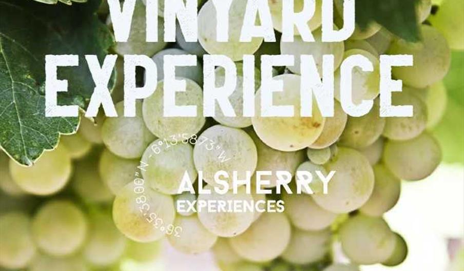 discovering sherry