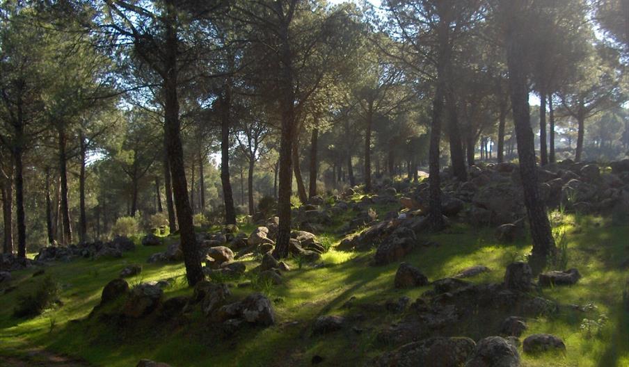 Piedra Escurridera