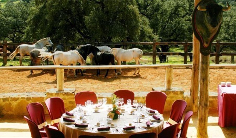 Finca Santa María