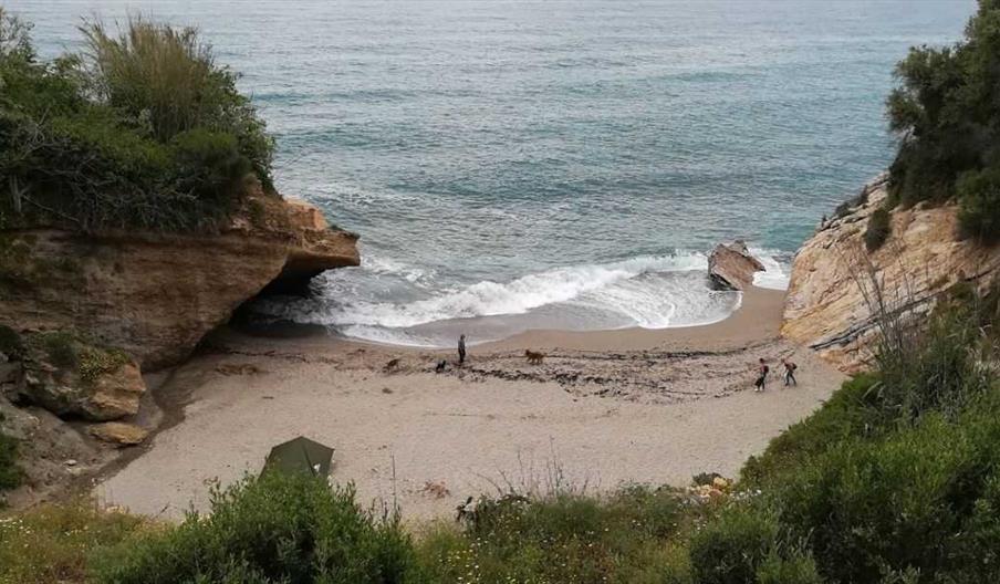 Playa Lobo Marino