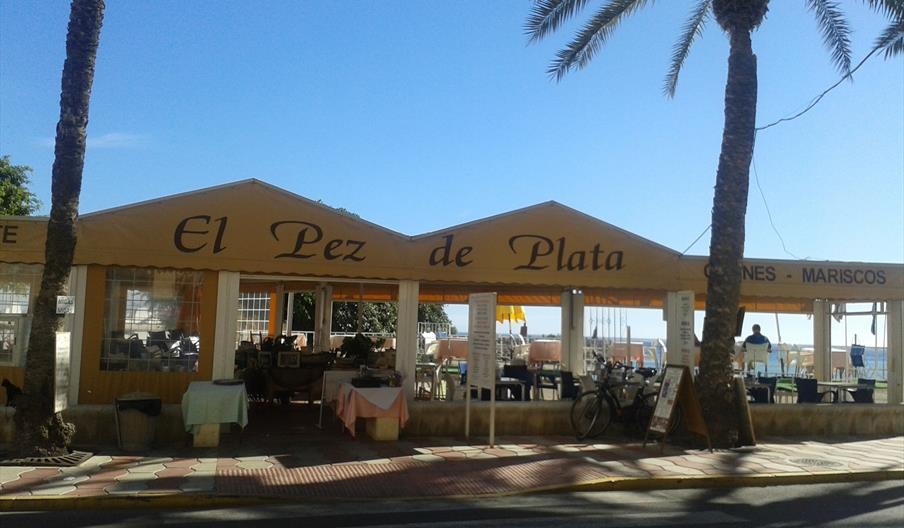El Pez de Plata