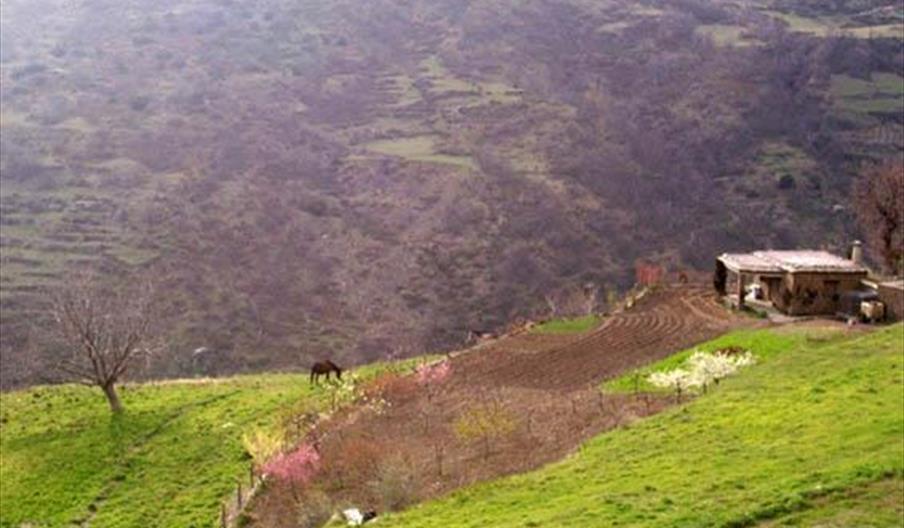 Bubión