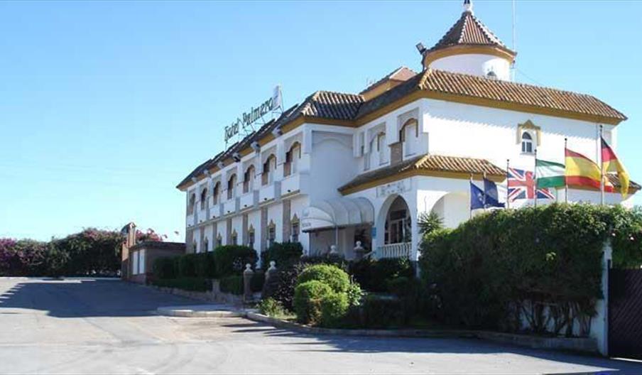 Palmero