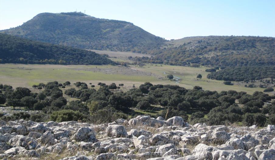 El Picacho de Cabra