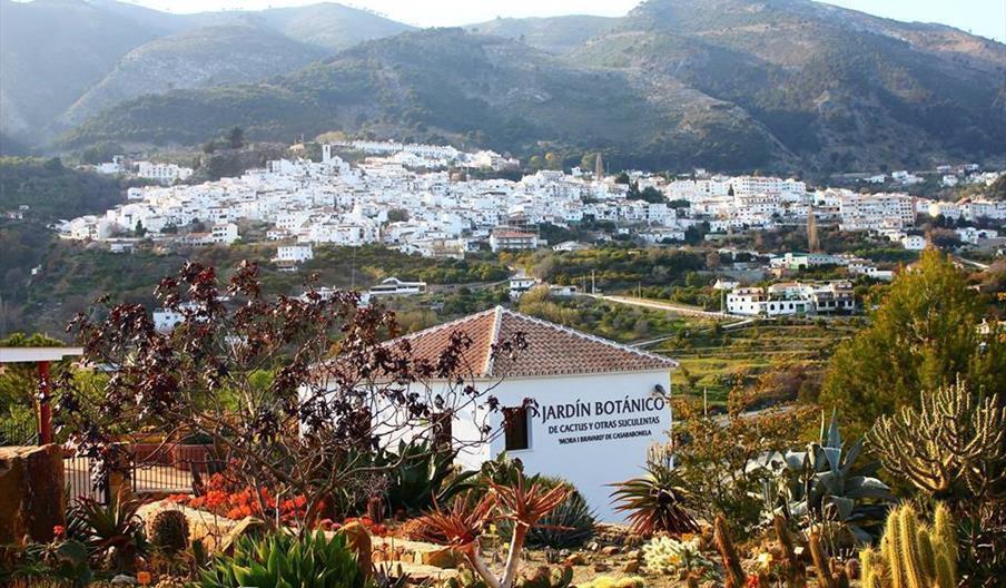 Jardín Botánico de Cactus y otras Suculentas Mora i Bravard