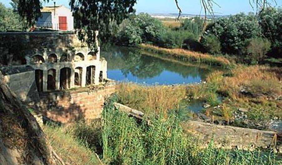 Carpio, El