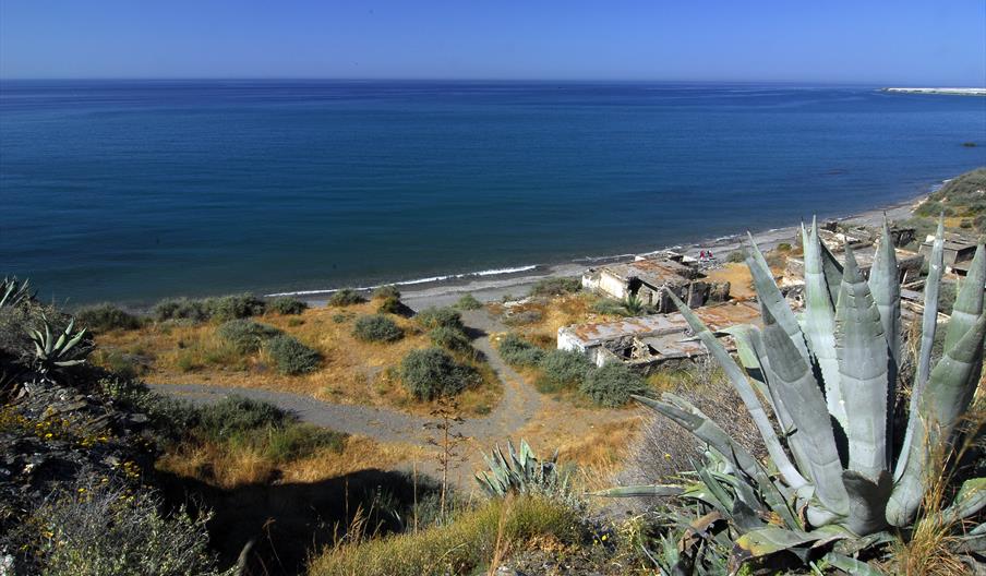 La Juana