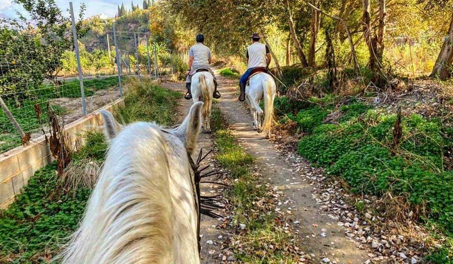 Foto portada FB Entre Montañas rutas a caballo