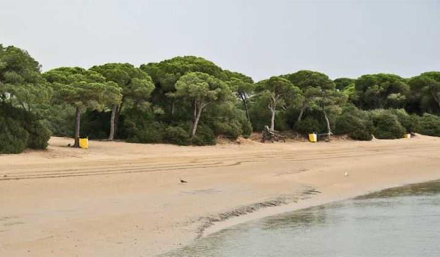 Playa el Conchal