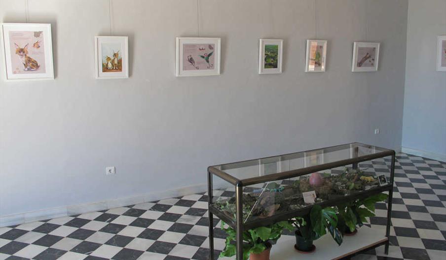 Sala Mare Nostrum