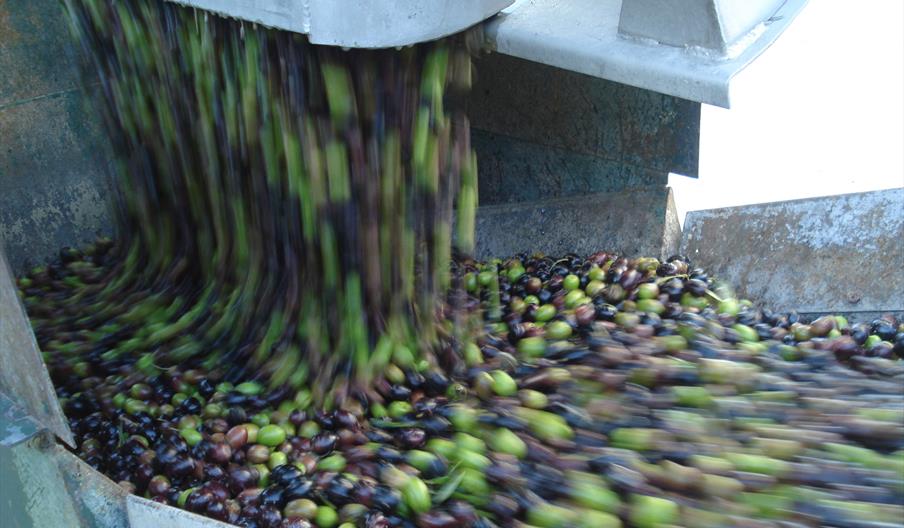 Aceites Bañón