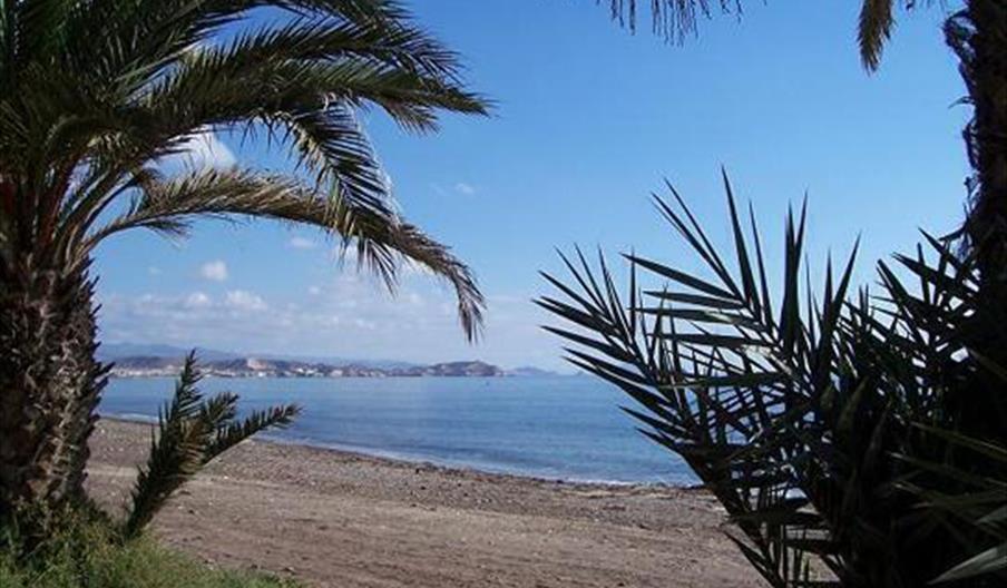 Pozo del Esparto