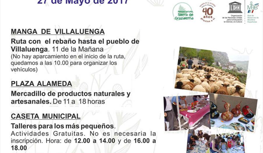 Ruta Trashumante de Villaluenga del Rosario