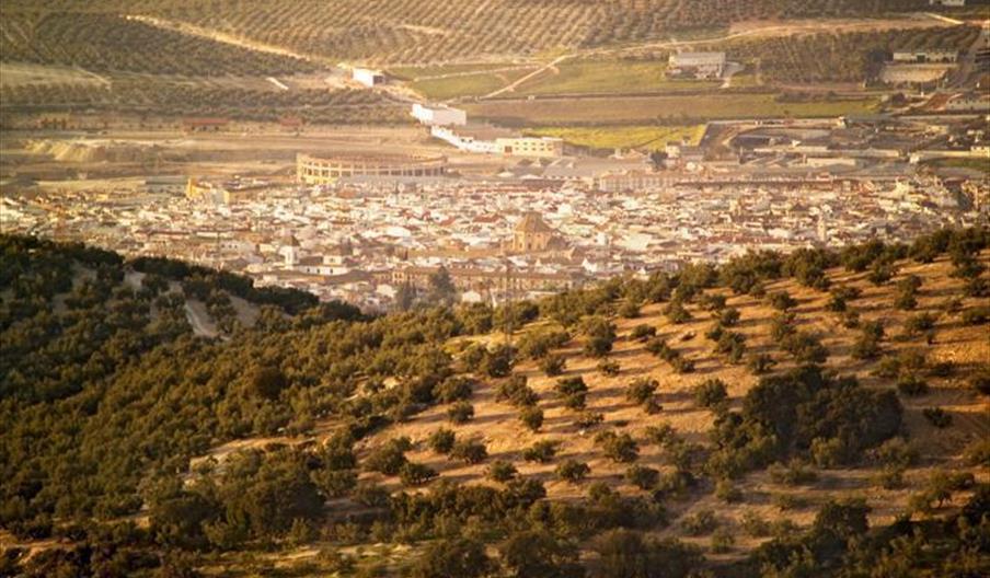 Lucena