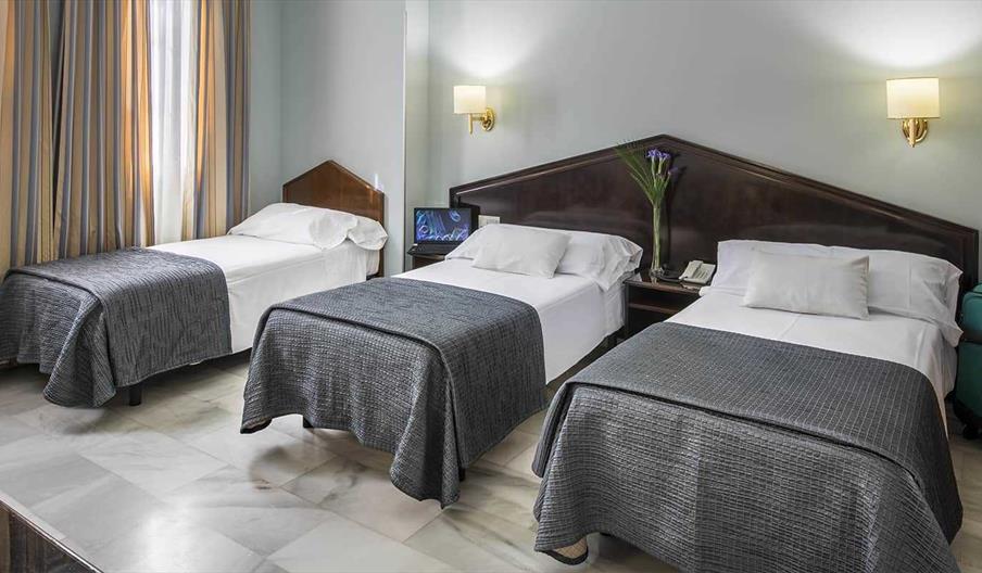 Hotel Porcel Navas