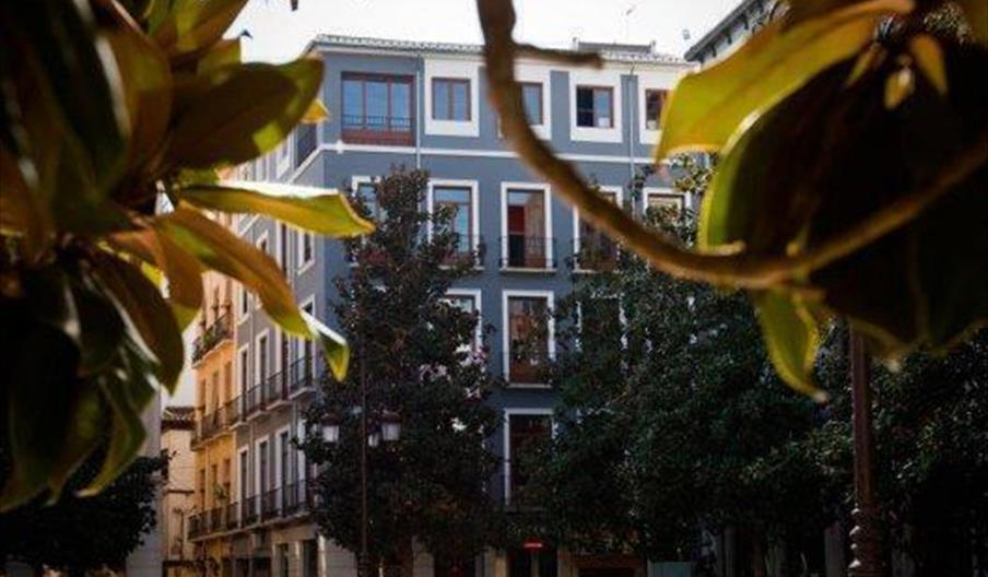 Nest Style Granada