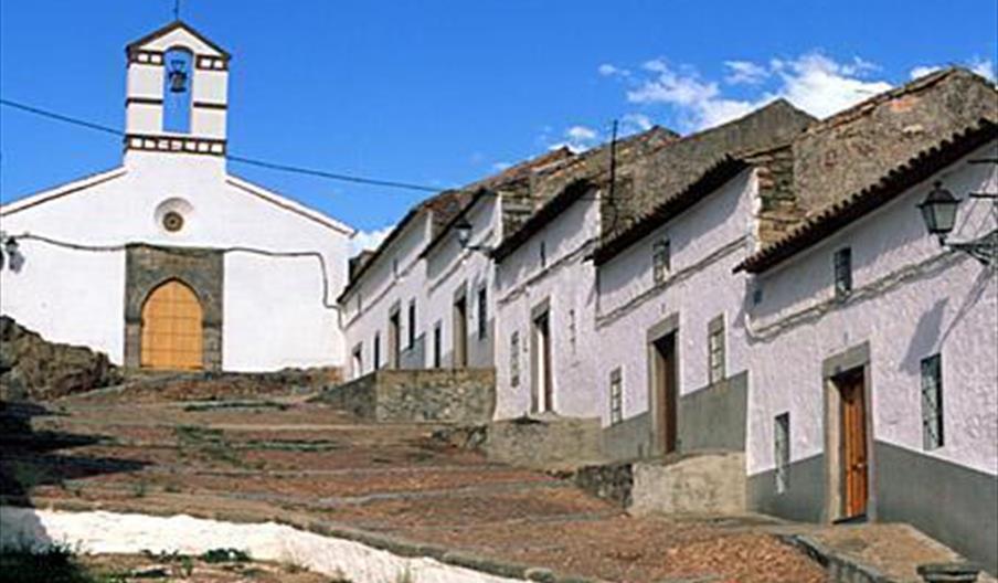 Pedroche