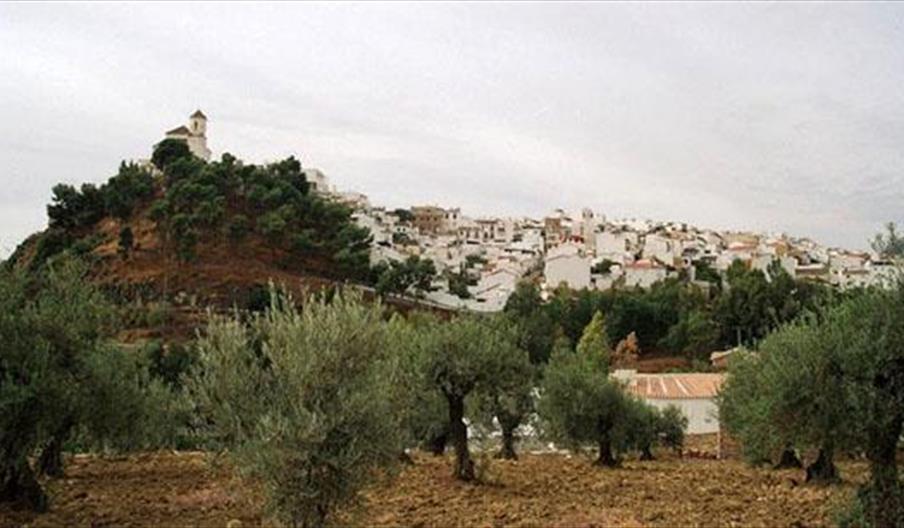 Alozaina
