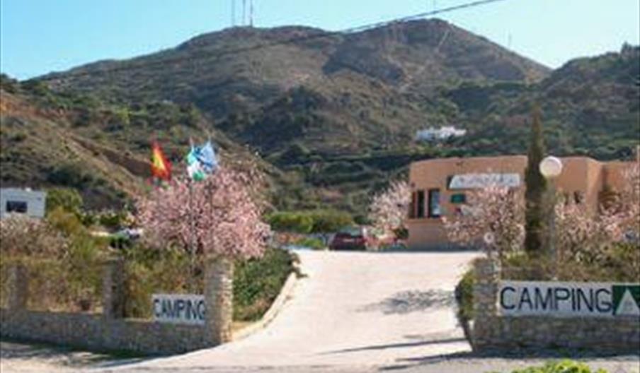 El Quinto