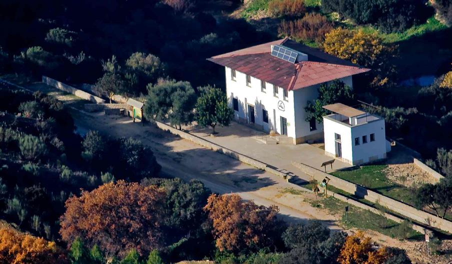 Zaframagón
