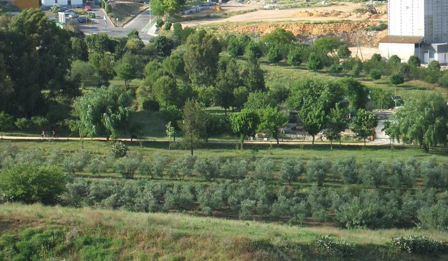 Parque de la Muela