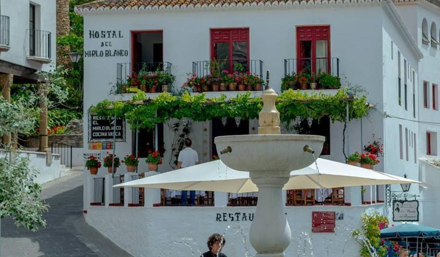 El Mirlo Blanco