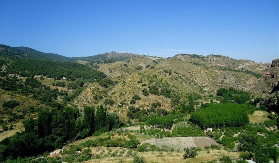 Bayarque