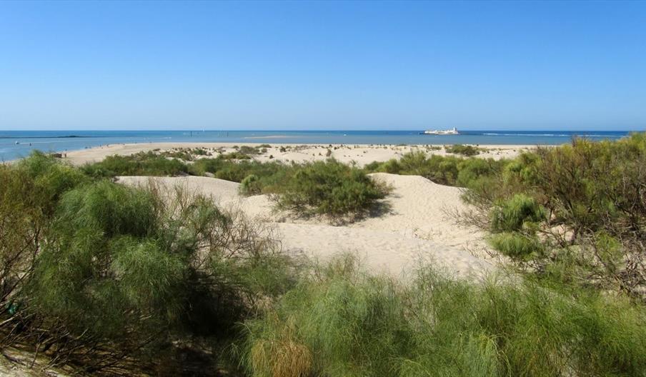 Punta del Boquerón