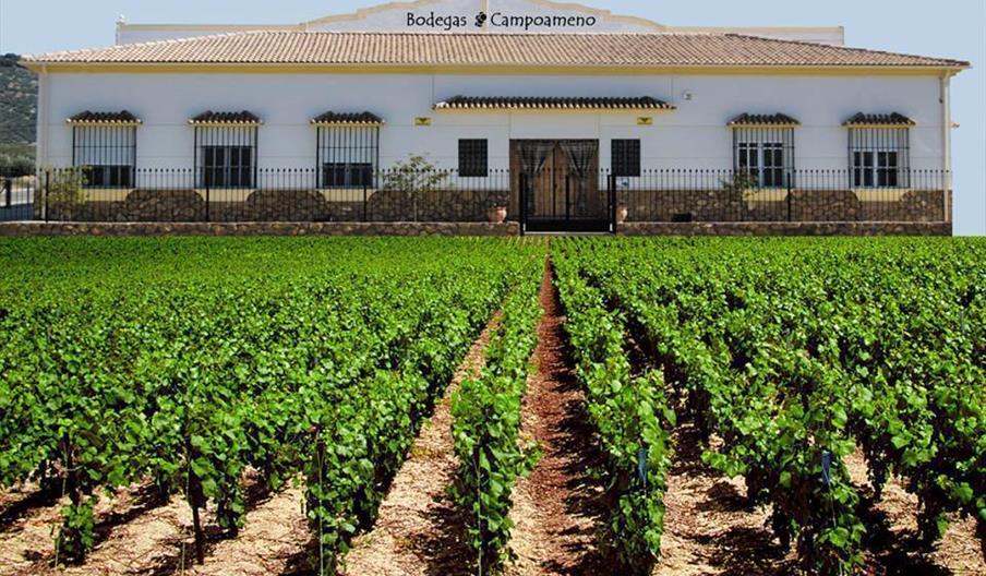 Bodegas Campoameno