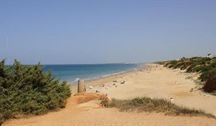 El Roche