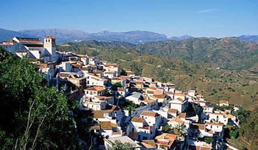 Cútar