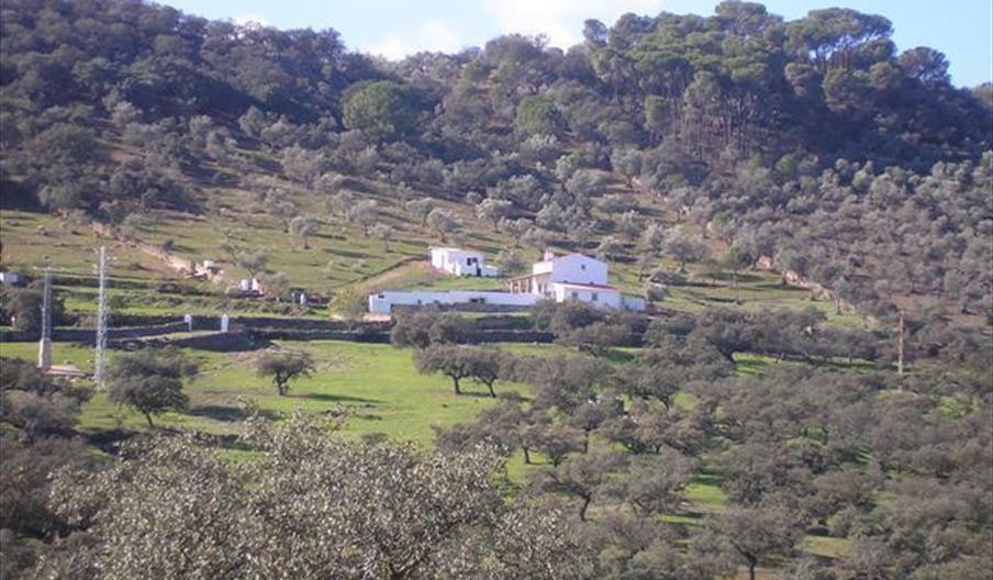 Umbría la Víbora