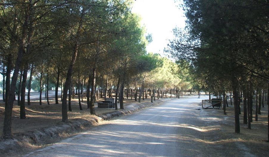 Dehesa de Santa Fe