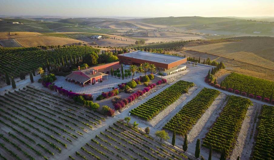 Bodegas Luis Pérez