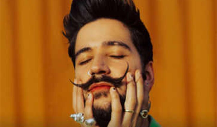 Camilo en concierto