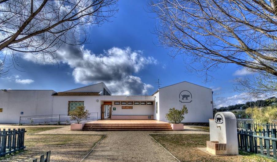 Venta Nueva