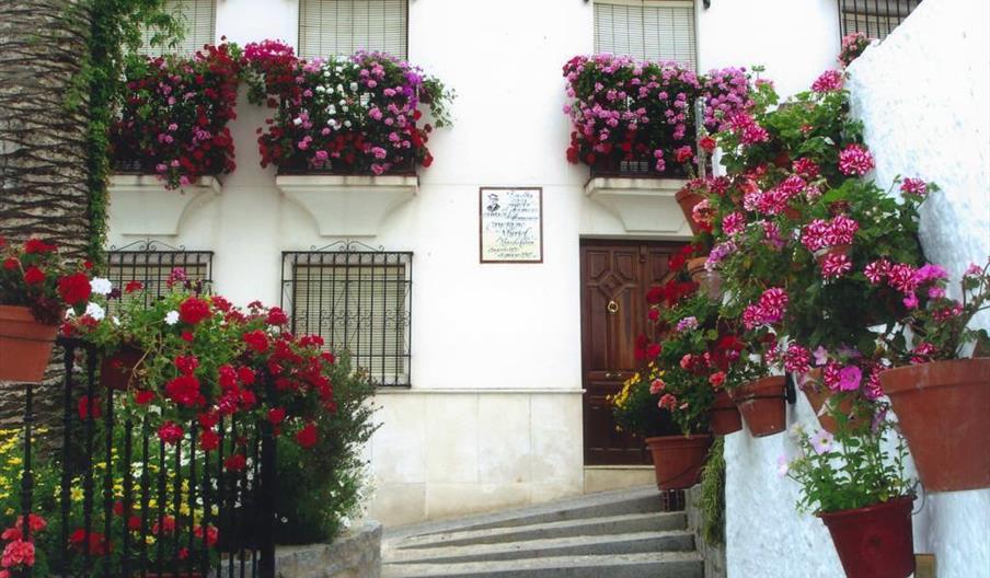 Barrio de El Cerro