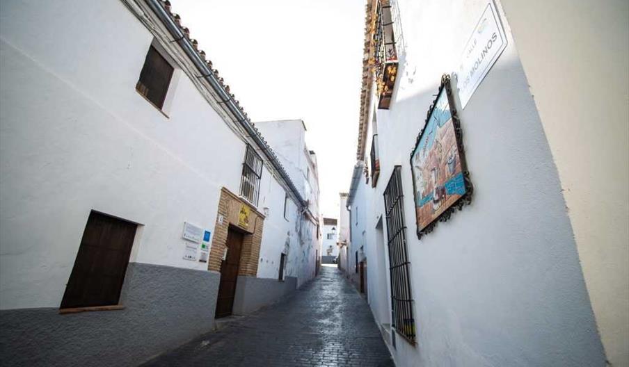 Molino