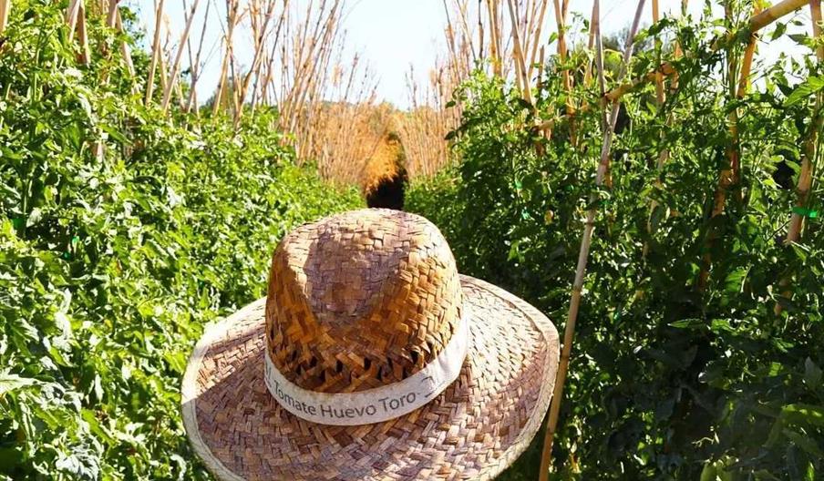La Huerta de Carmen