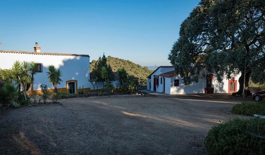 Vivienda Rural Cortijo La Umbría