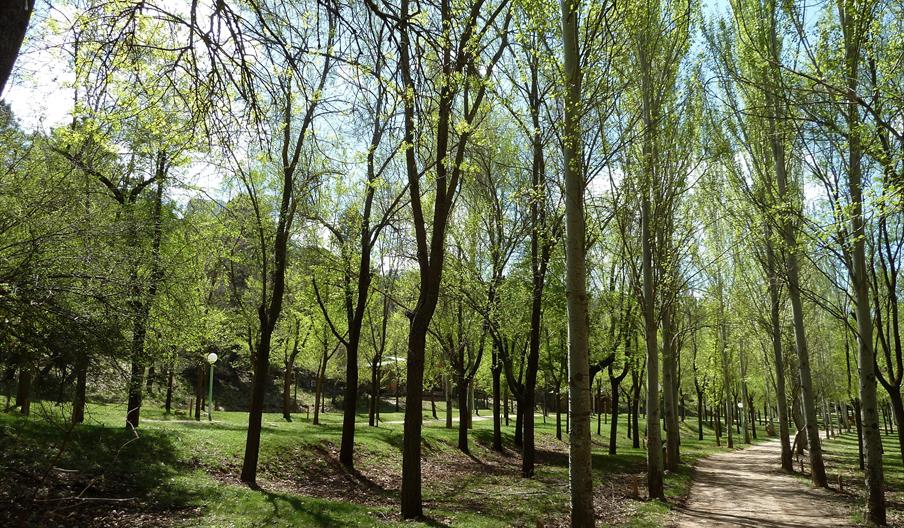 Camping Puente de Las Herrerías
