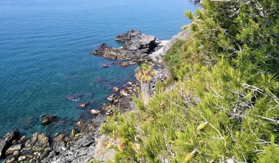 Cala del Pargo