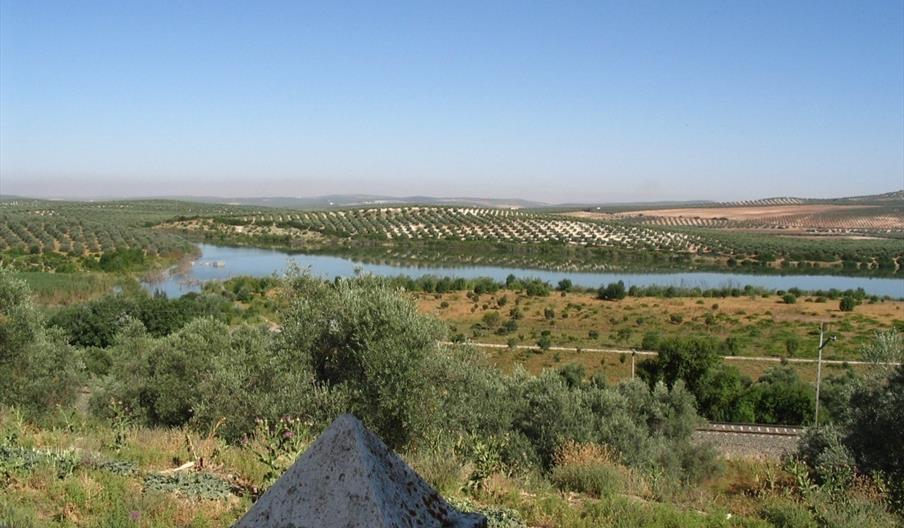 Laguna de Zóñar