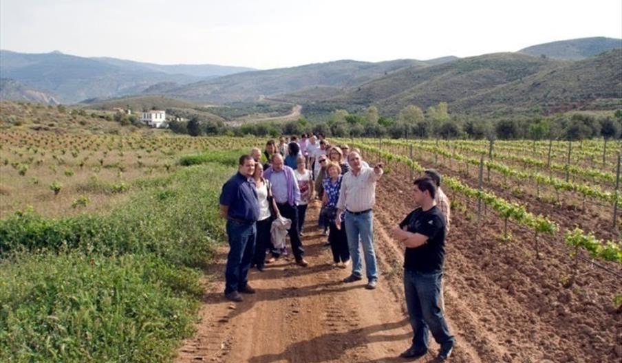 InnovAlpujarra