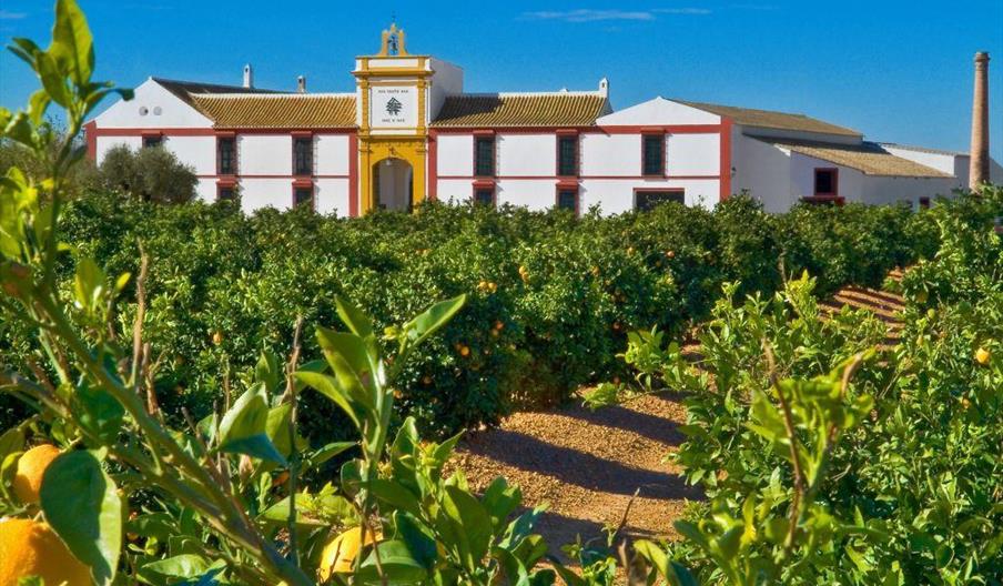 An image of Hacienda Santa Ana