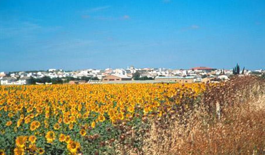 Lantejuela